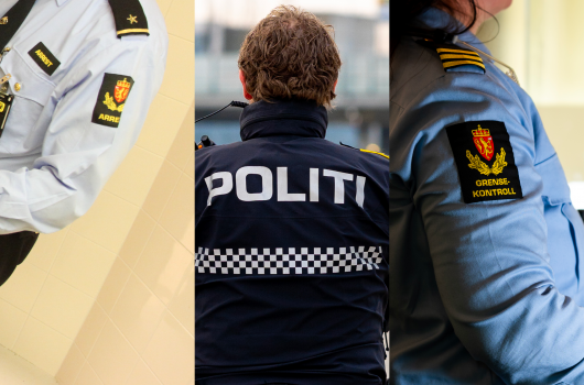 Arrest Politi Grensekontrollor